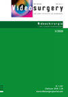Videosurgery and Other Miniinvasive Techniques雜志封面